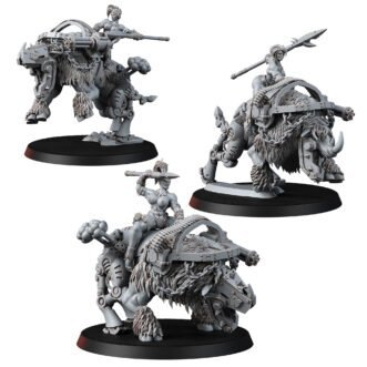 LEGION OF EXCESS SHE-ORC RHINOX RIDERS (PIN-UP) (3U)