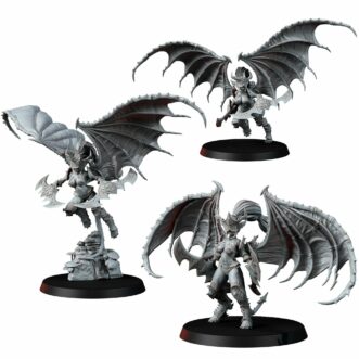 DEMONS OF EXCESS VALKYRIES