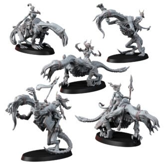 CHAOS OF EXCESS SUCCUBUS RIDERS (NSFW)