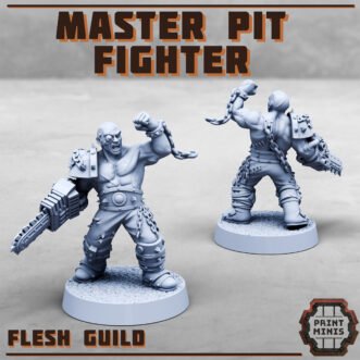 STACK CITY MASTER PIT FIGHTER V2