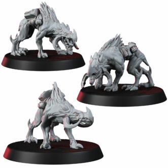 RAPTARI HOUNDS