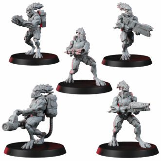 RAPTARI NOMADS V2