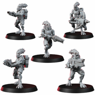 RAPTARI NOMADS V3