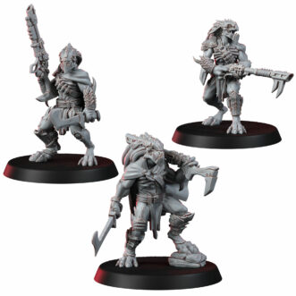 RAPTARI TEAM V1