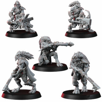RAPTARI TEAM V2