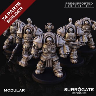 SILVER PALADINS KNIGHTS ENFORCERS