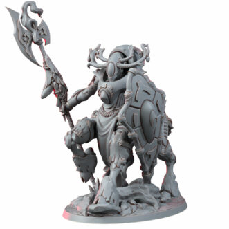 SPACELAIR ANCHORITES EMBODIMECH