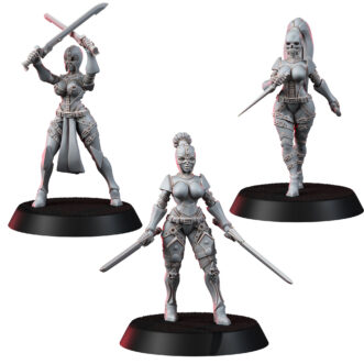 INQUISITION ANIME ASSASINS
