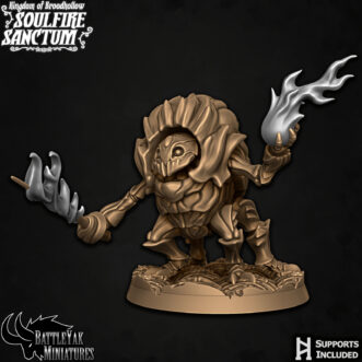 SOULFIRE SANCTUM – WARRIOR V3