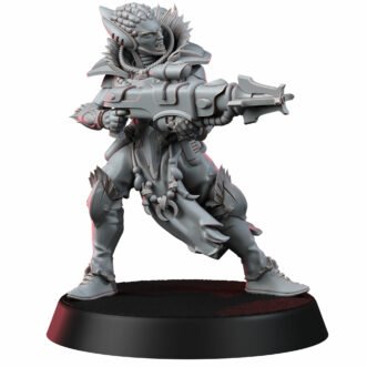 SPACELAIR ANCHORITES WEBSTRIDER