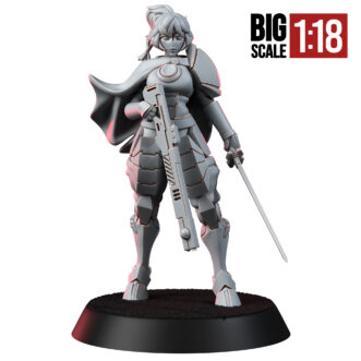 GREATER HEIWA FIREWARRIOR (SCALE 1:18)