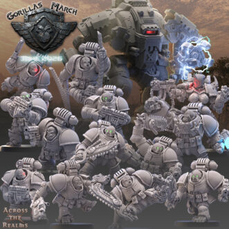 GORILLAS BUNDLE