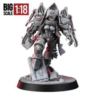 IMPERIAL RAVEN VALKYRIE (PIN-UP) (SCALE 1:18)