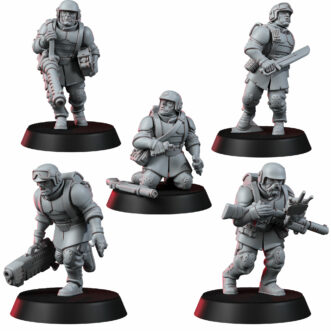 OLD GUARD INFANTRY REINFORCEMENTS