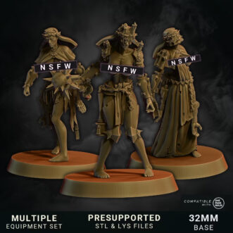 CRUSADE SISTERS OF STIGMA (PIN-UP)