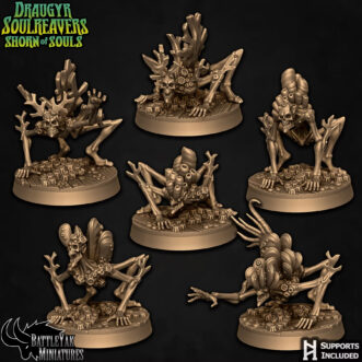 DRAUGYR SOULREAVERS SLOVENMUCK CURSEWRACK