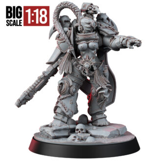 IMPERIAL RAVEN VALKYRIE PREYSEEKER (PIN-UP) (SCALE 1:18)