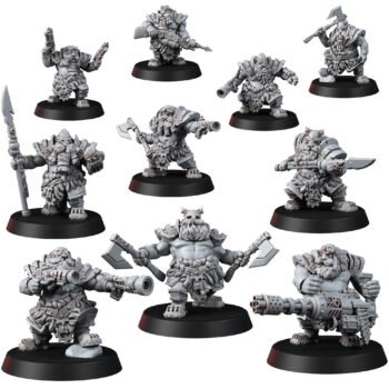 DWARFS - RUNERIDERS SQUAD (10U)