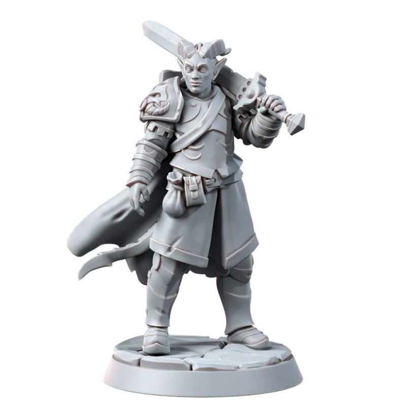 TIEFLING - MALE KNIGHT