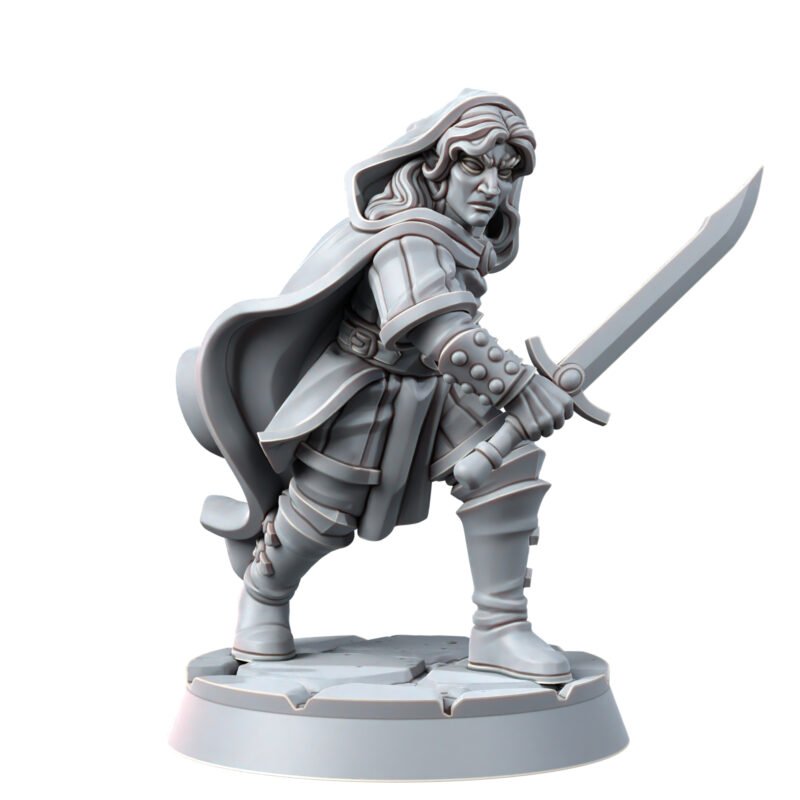 ELVES - SWORDSMAN