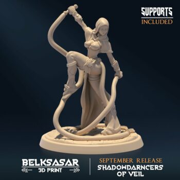 SHADOWDARNCERS OF VEIL - ASSASSIN V1