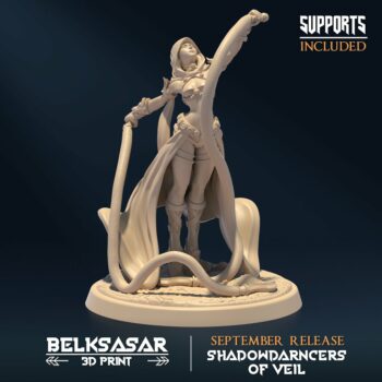 SHADOWDARNCERS OF VEIL - ASSASSIN V4